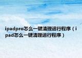 ipadpro怎么一键清理运行程序（ipad怎么一键清理运行程序）