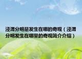 泾渭分明是发生在哪的奇观（泾渭分明发生在哪里的奇观简介介绍）