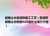 超前止水后浇带施工工艺（后浇带超前止水构造HJD是什么简介介绍）