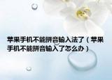 苹果手机不能拼音输入法了（苹果手机不能拼音输入了怎么办）