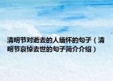 清明节对逝去的人缅怀的句子（清明节哀悼去世的句子简介介绍）