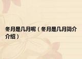 冬月是几月呢（冬月是几月简介介绍）