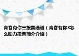 青春有你三投票通道（青春有你3怎么助力投票简介介绍）
