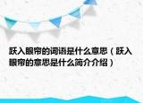 跃入眼帘的词语是什么意思（跃入眼帘的意思是什么简介介绍）