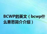 BCWP的英文（bcwp什么意思简介介绍）