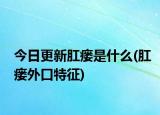 今日更新肛瘘是什么(肛瘘外口特征)