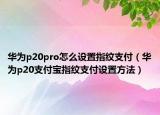 华为p20pro怎么设置指纹支付（华为p20支付宝指纹支付设置方法）