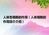 人体各细胞的作用（人体细胞的作用简介介绍）
