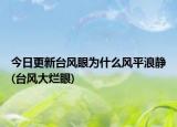 今日更新台风眼为什么风平浪静(台风大烂眼)