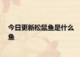 今日更新松鼠鱼是什么鱼