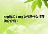 nrg格式（nrg文件用什么打开简介介绍）