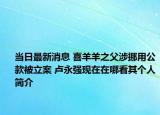 当日最新消息 喜羊羊之父涉挪用公款被立案 卢永强现在在哪看其个人简介