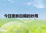 今日更新白醋的妙用