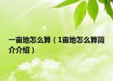 一亩地怎么算（1亩地怎么算简介介绍）