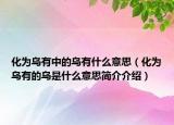 化为乌有中的乌有什么意思（化为乌有的乌是什么意思简介介绍）
