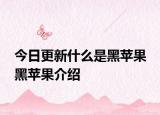 今日更新什么是黑苹果 黑苹果介绍
