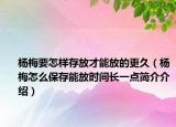 杨梅要怎样存放才能放的更久（杨梅怎么保存能放时间长一点简介介绍）