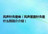 风声针灸是啥（风声里面针灸是什么刑简介介绍）