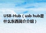 USB-Hub（usb hub是什么东西简介介绍）
