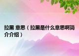拉黑 意思（拉黑是什么意思啊简介介绍）