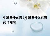 牛鞭是什么吗（牛鞭是什么东西简介介绍）