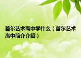 首尔艺术高中学什么（首尔艺术高中简介介绍）
