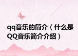 qq音乐的简介（什么是QQ音乐简介介绍）