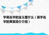 宇昊名字的含义是什么（昊宇名字的寓意简介介绍）