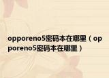opporeno5密码本在哪里（opporeno5密码本在哪里）