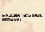 lol各战队图标（lol怎么显示战队图标简介介绍）