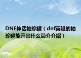 DNF神话袖珍罐（dnf英雄的袖珍罐能开出什么简介介绍）