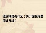 莲的成语有什么（关于莲的成语简介介绍）