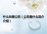 什么叫做公历（公历是什么简介介绍）