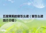 五窨茉莉的窨怎么读（窨怎么读简介介绍）