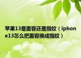 苹果13是面容还是指纹（iphone13怎么把面容换成指纹）