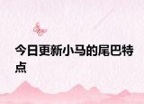 今日更新小马的尾巴特点