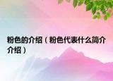 粉色的介绍（粉色代表什么简介介绍）
