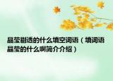 晶莹剔透的什么填空词语（填词语晶莹的什么啊简介介绍）