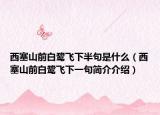 西塞山前白鹭飞下半句是什么（西塞山前白鹭飞下一句简介介绍）