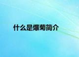 什么是爆菊简介