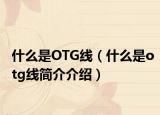 什么是OTG线（什么是otg线简介介绍）