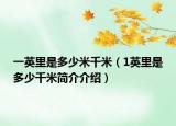 一英里是多少米千米（1英里是多少千米简介介绍）