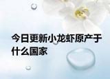 今日更新小龙虾原产于什么国家