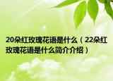 20朵红玫瑰花语是什么（22朵红玫瑰花语是什么简介介绍）