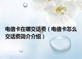 电信卡在哪交话费（电信卡怎么交话费简介介绍）