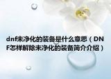 dnf未净化的装备是什么意思（DNF怎样解除未净化的装备简介介绍）