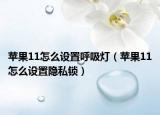 苹果11怎么设置呼吸灯（苹果11怎么设置隐私锁）