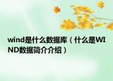 wind是什么数据库（什么是WIND数据简介介绍）