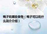 鸭子吃哪些食物（鸭子可以吃什么简介介绍）