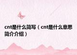 cnt是什么简写（cnt是什么意思简介介绍）
